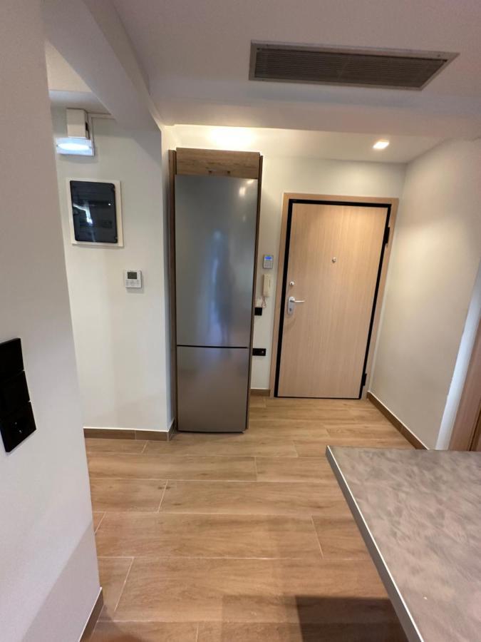 Vasilis Luxury Apartment Athen Eksteriør bilde